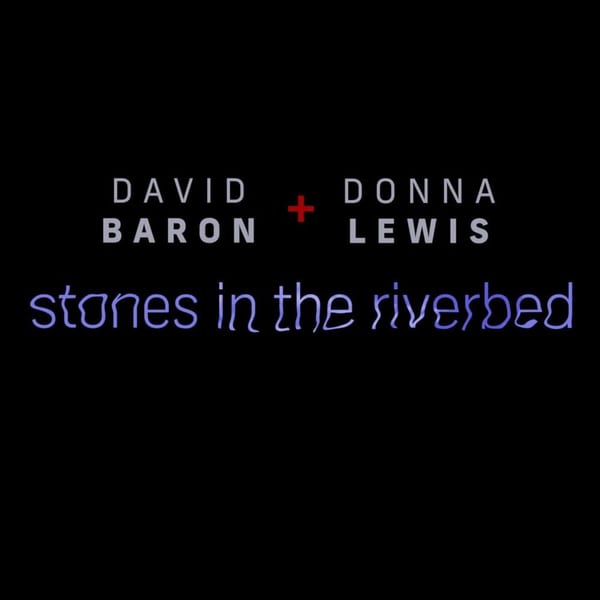 Stones in the River Bed cover