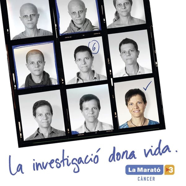 El teu refugi cover