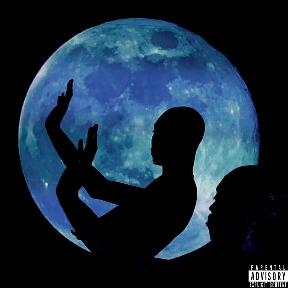 EVERYTHING YOU HEARD IS TRUE cover