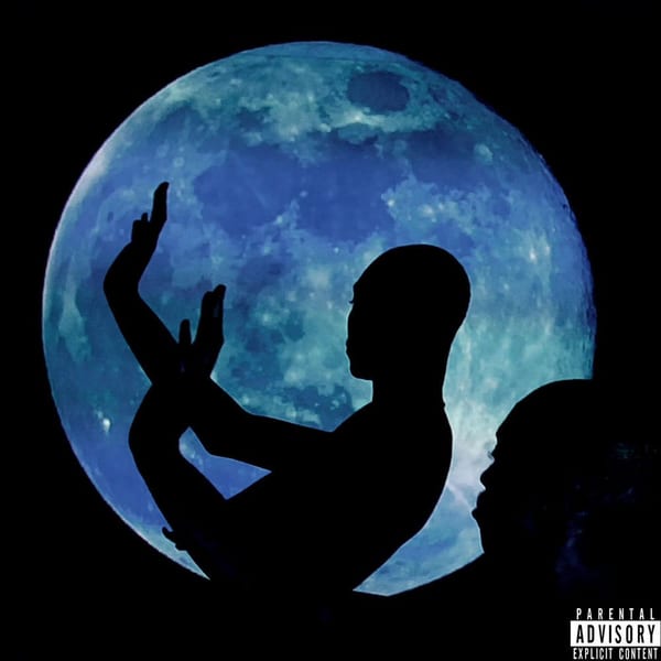 EVERYTHING YOU HEARD IS TRUE cover