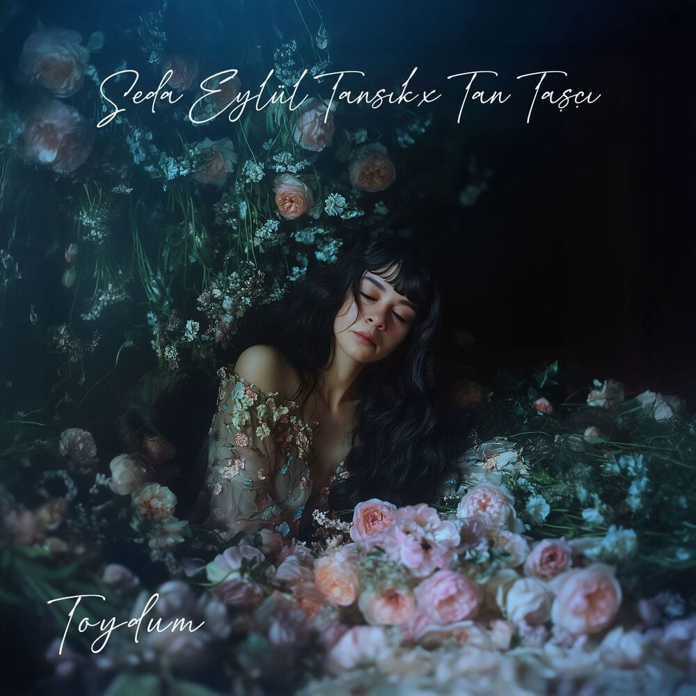 Toydum cover