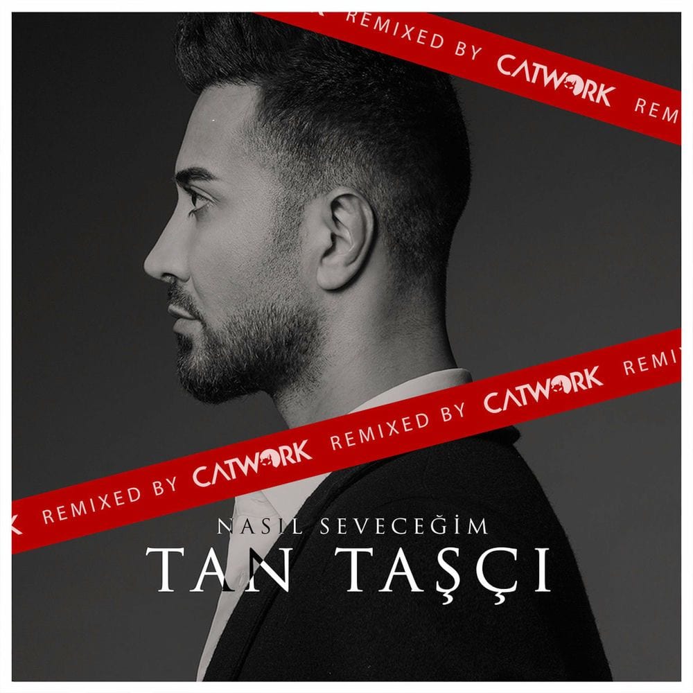 Nasıl Seveceğim (Club Mix) cover