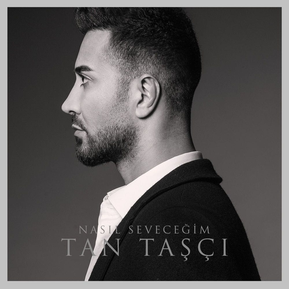 Nasıl Seveceğim cover
