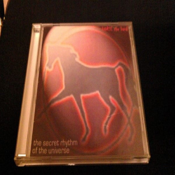 The Secret Rhythm of the Universe cover
