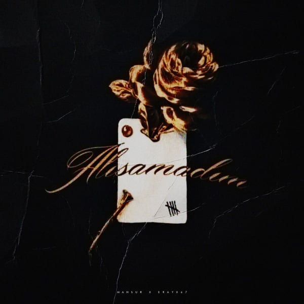 Alışamadım cover