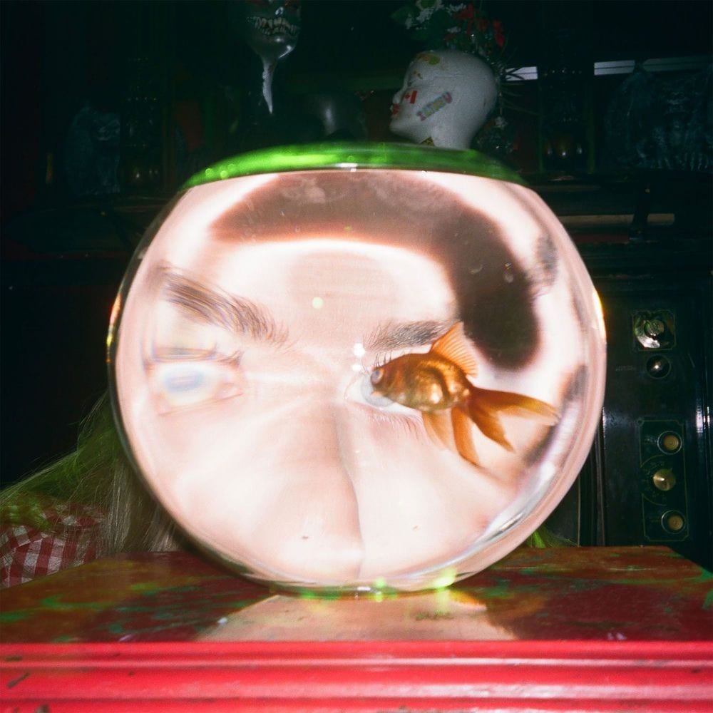 Mary's At The Carnival cover