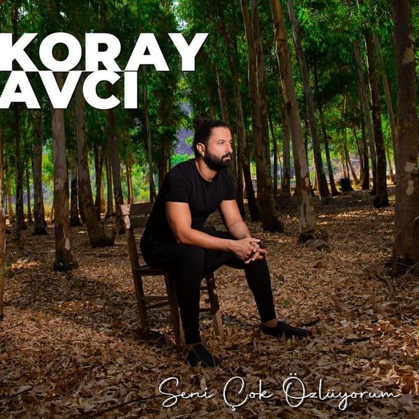 Seni Çok Özlüyorum cover