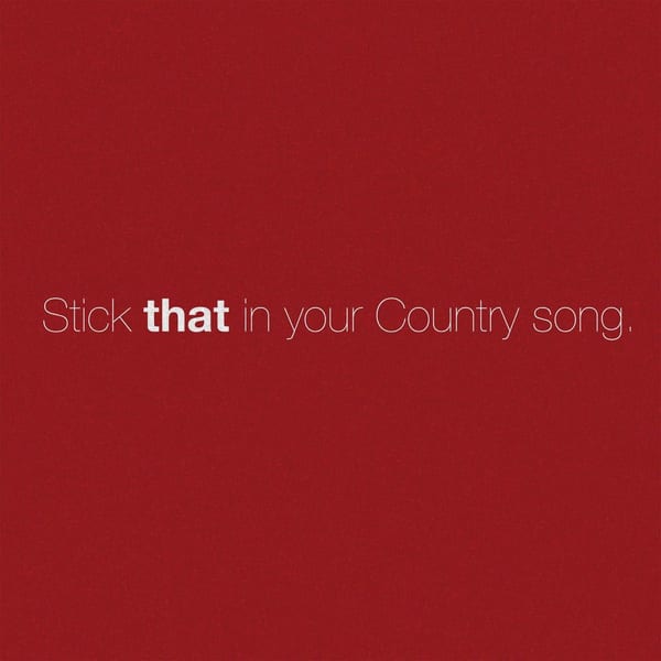 Stick That In Your Country Song cover