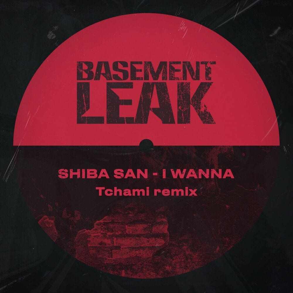 I Wanna (Tchami remix) cover