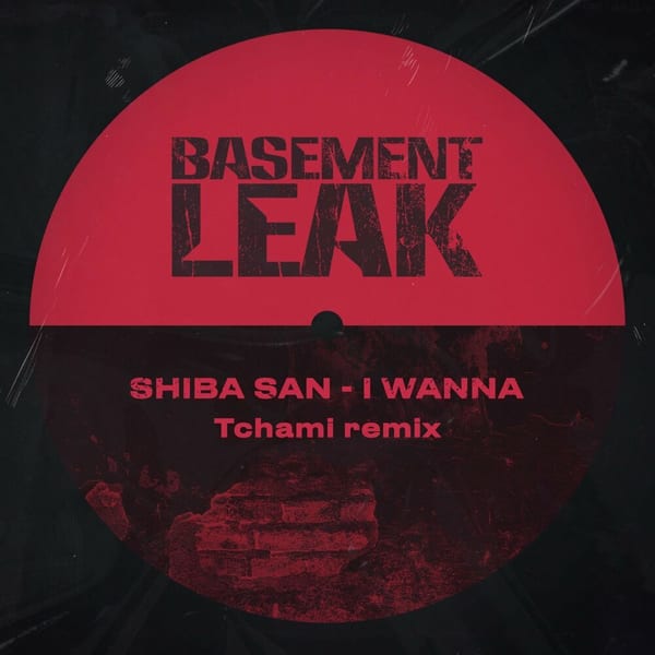 I Wanna (Tchami remix) cover