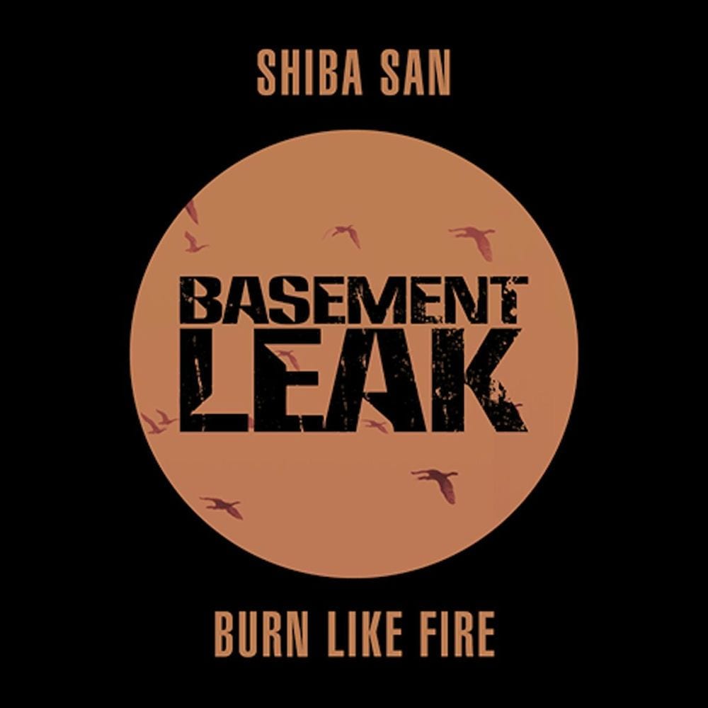 Burn Like Fire cover