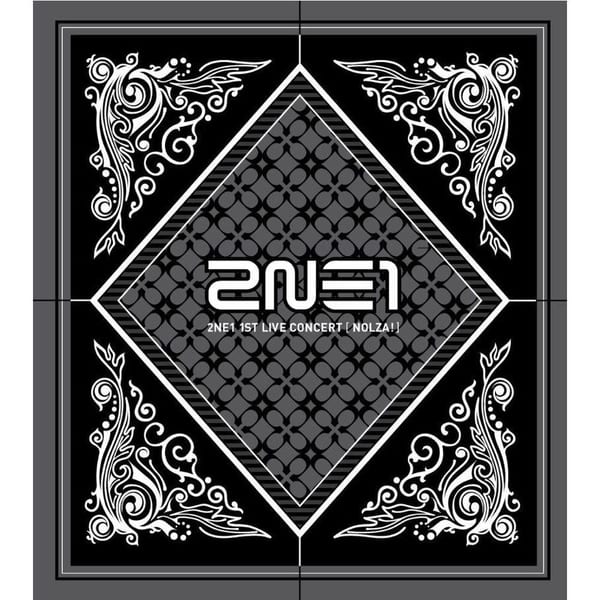 2NE1 1st Live Concert NOLZA! cover
