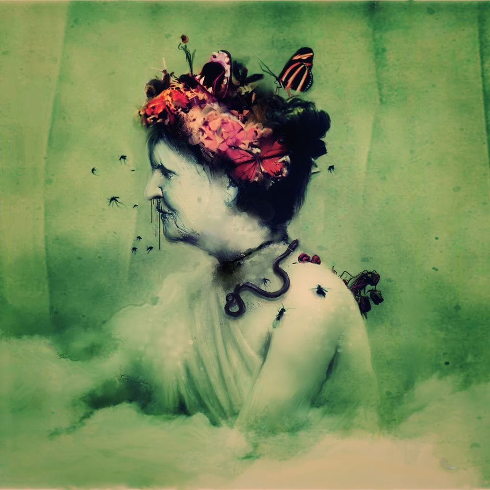 Empress Rising cover