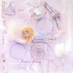 Natural Elements album cover