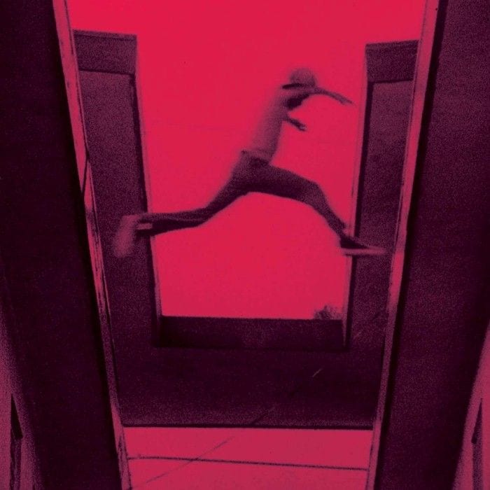 The Ecstatic cover