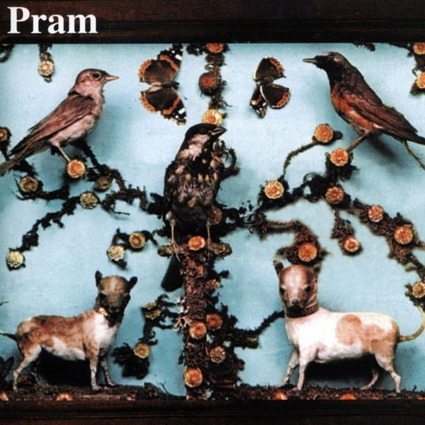 The Museum Of Imaginary Animals cover