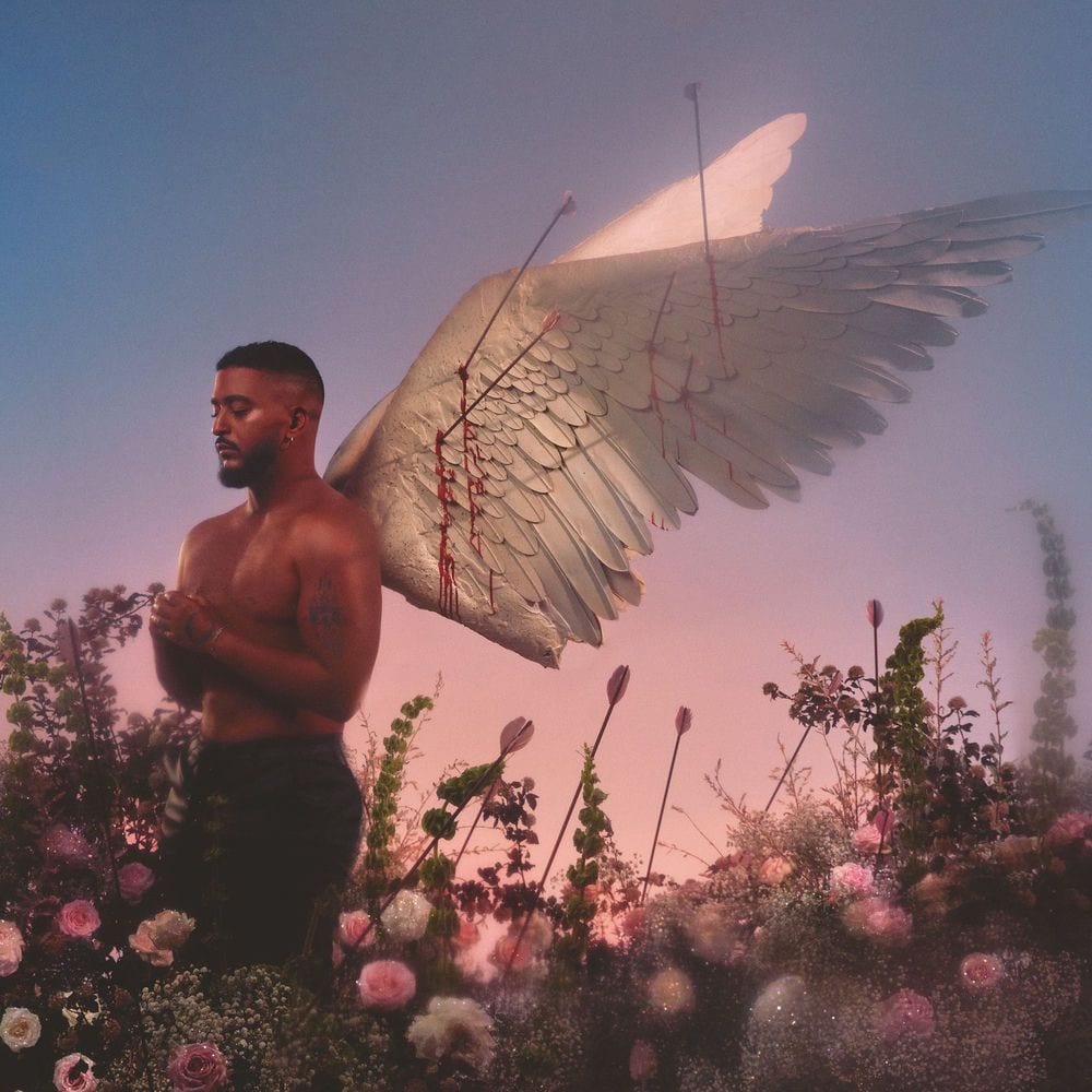 Chroniques d'un cupidon cover