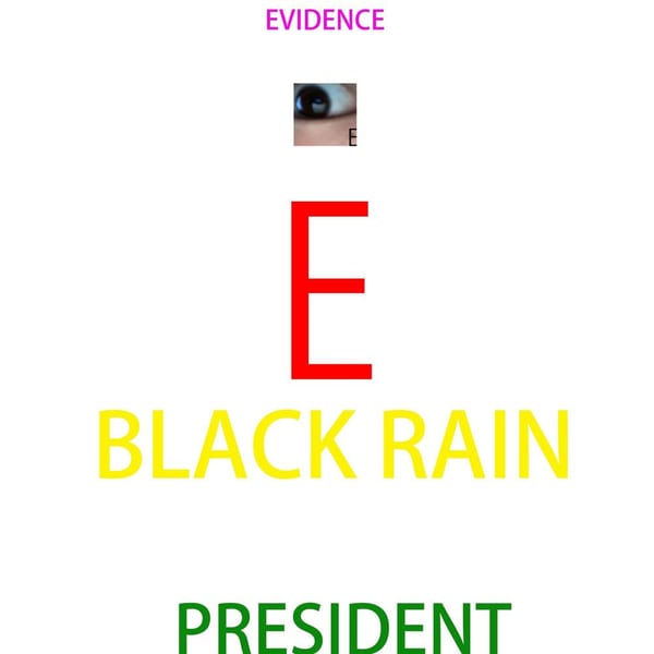 Black Rain President cover