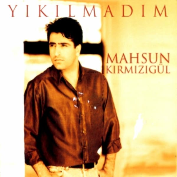 Yıkılmadım cover