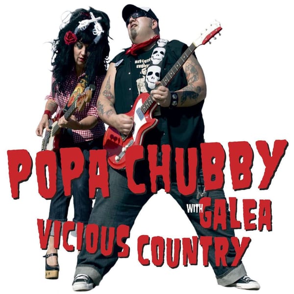 Vicious Country cover