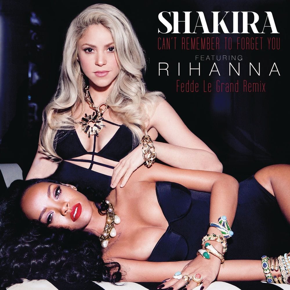 Can't Remember to Forget You (feat. Rihanna) (Fedde Le Grand Remix) cover
