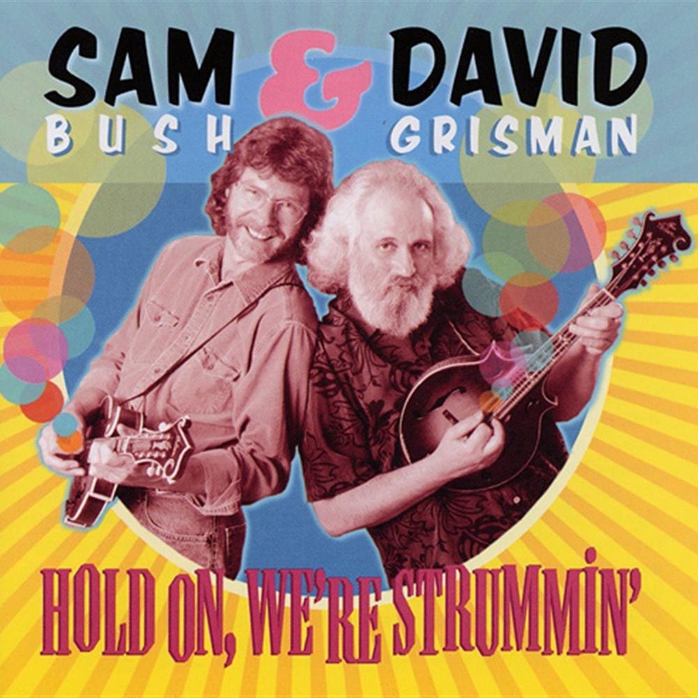 Hold On, We're Strummin' cover