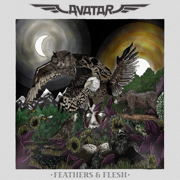 Feathers & Flesh cover
