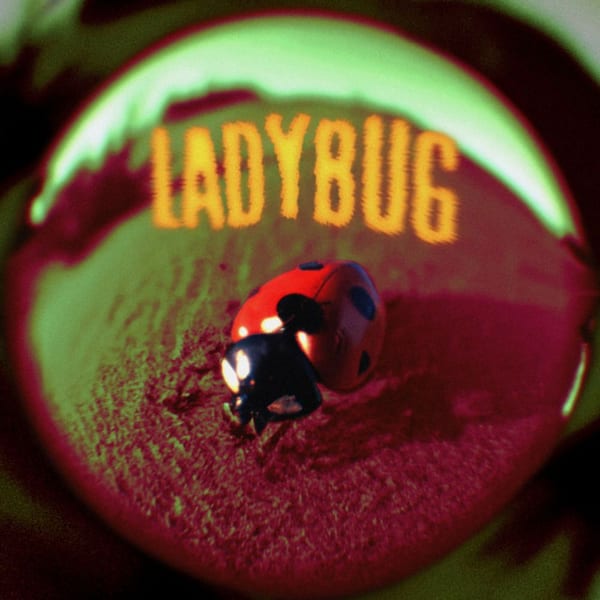 Ladybug cover