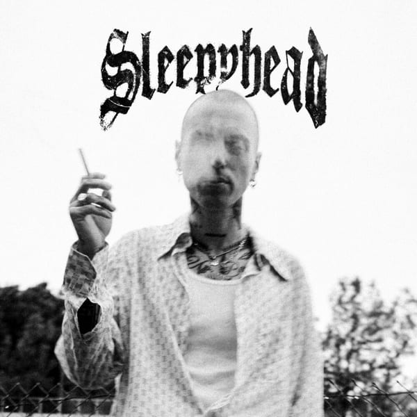 Sleepyhead cover
