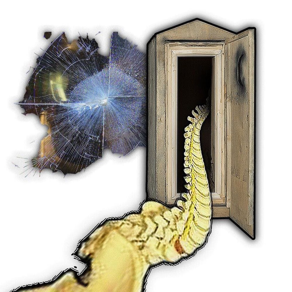 Jackpot cover