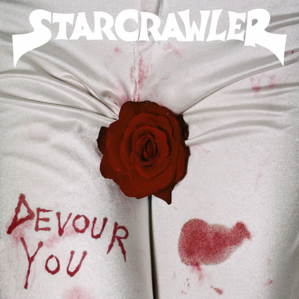 Devour You cover