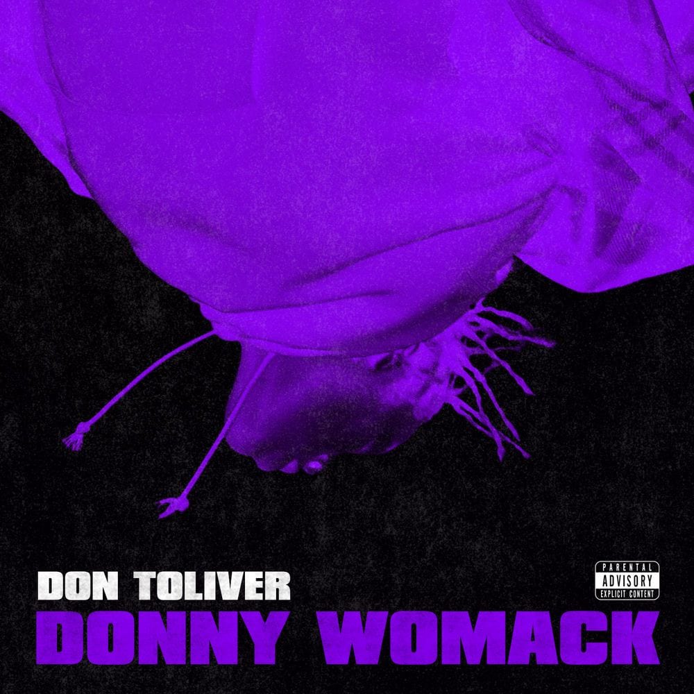 Donny Womack cover