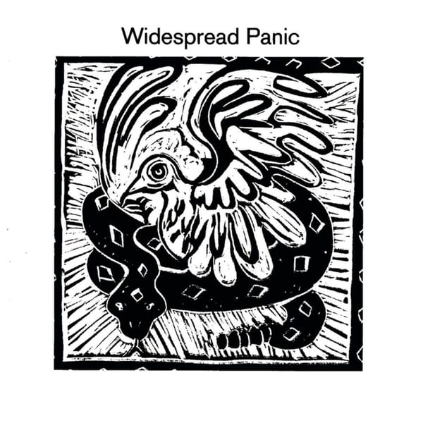 Widespread Panic cover