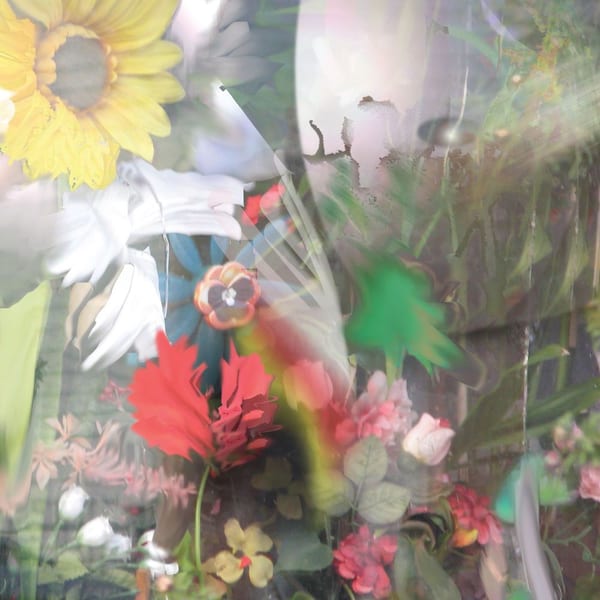 Flowers cover