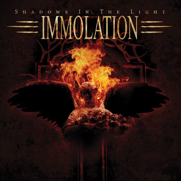 Shadows in the Light album cover