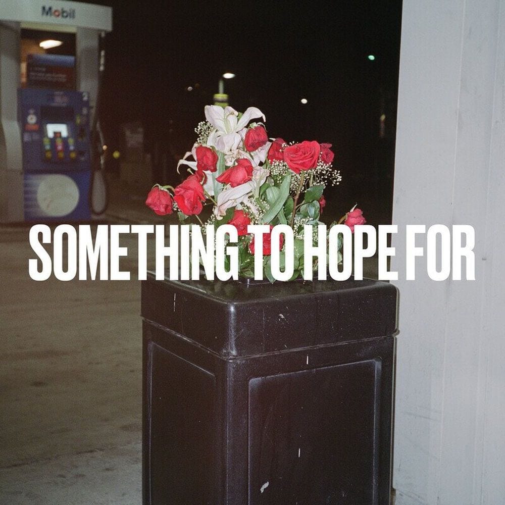 Something to Hope For cover