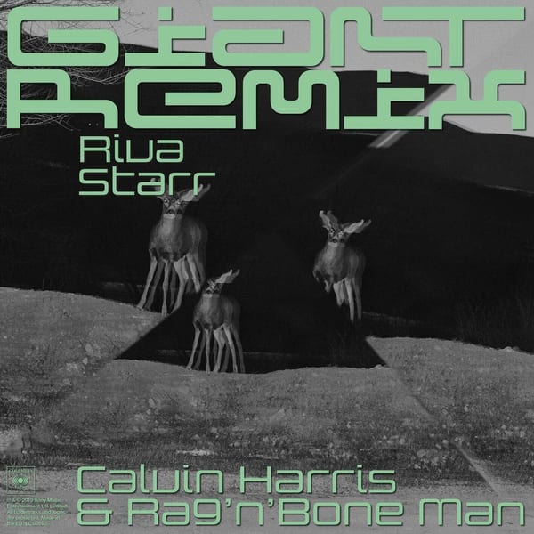 Giant (Riva Starr Tribe Vibe Remix) cover