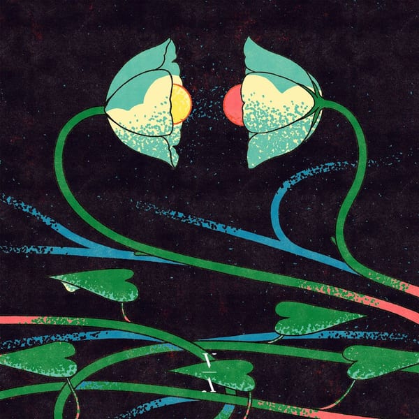Cross Pollination II cover