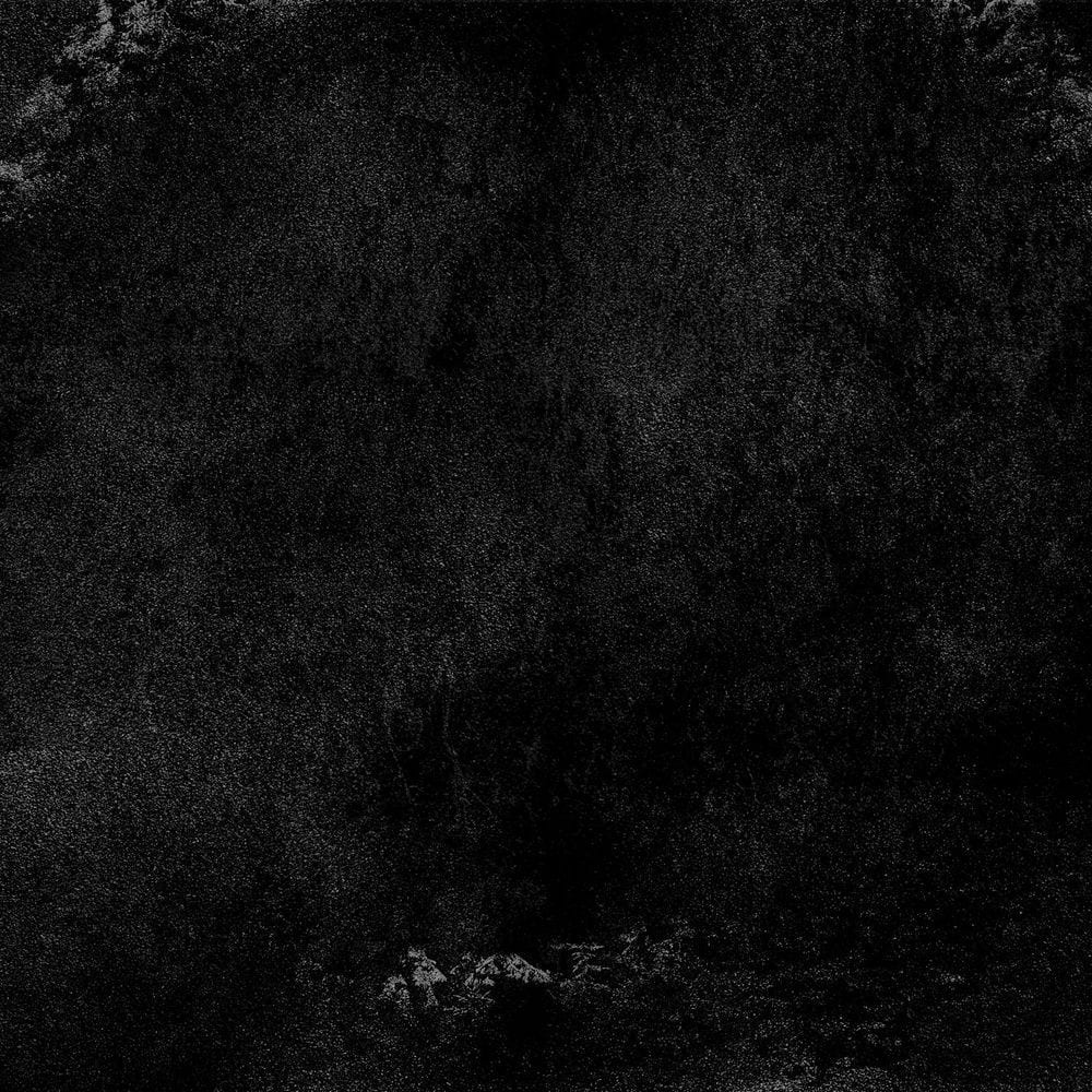 In the Shadow of Your Shadow cover