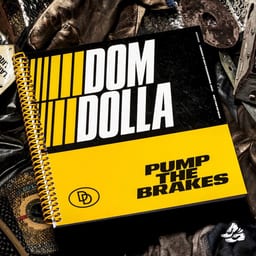 Pump the Brakes album cover