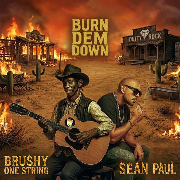 Burn Dem Down cover