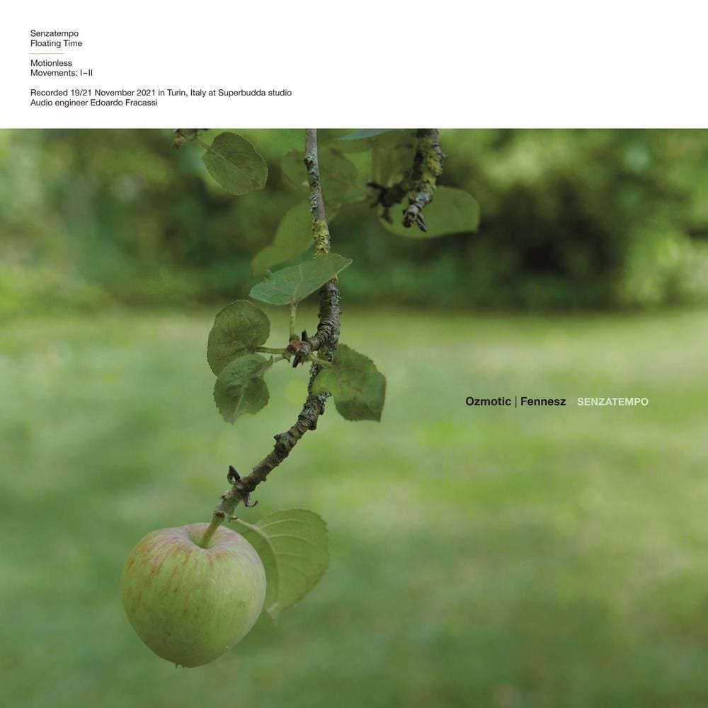 Senzatempo cover