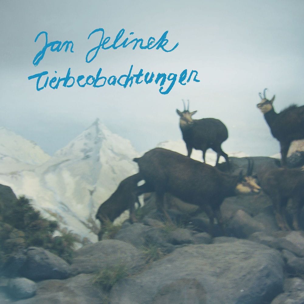 Tierbeobachtungen (33 RPM LP Version) cover
