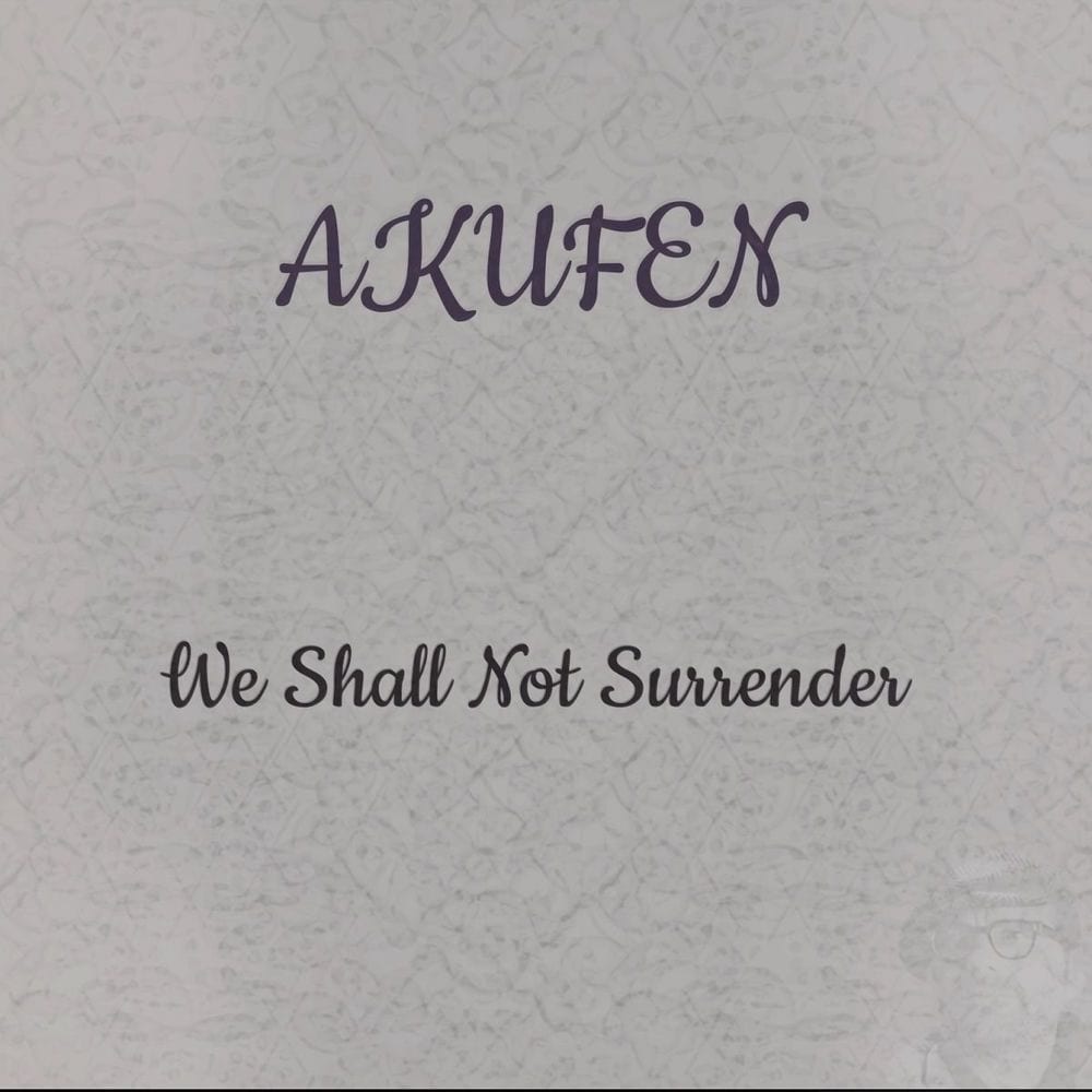 We Shall Not Surrender cover