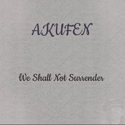 We Shall Not Surrender album cover