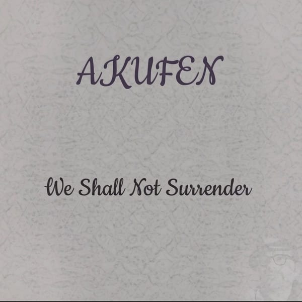 We Shall Not Surrender album cover