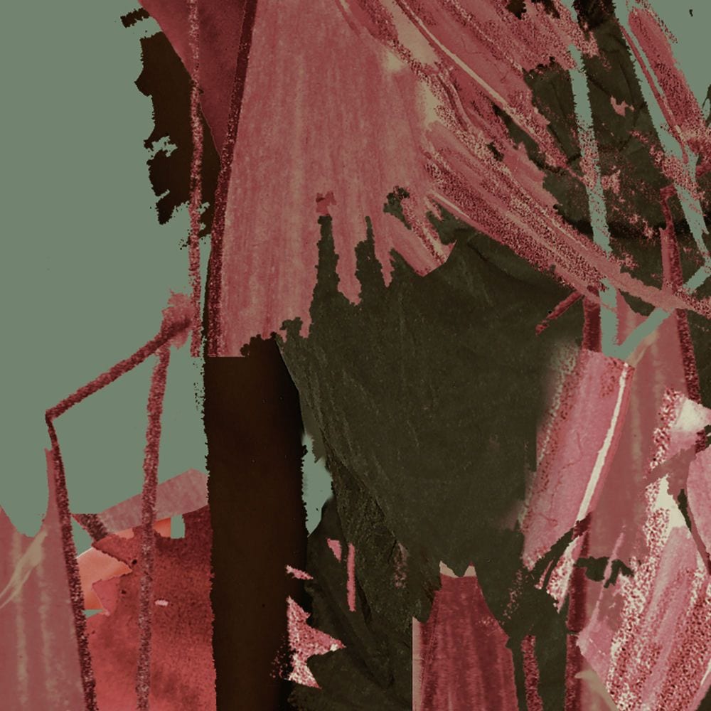 Anima ( Bonus Re-Edition) cover