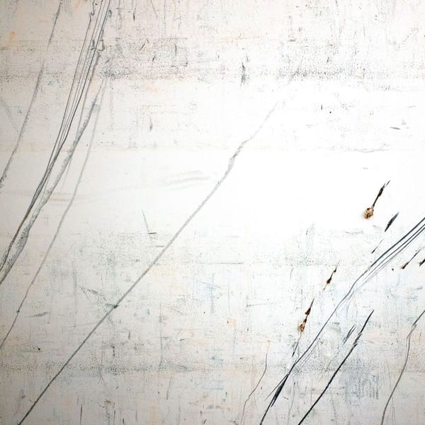 Fridman Variations cover