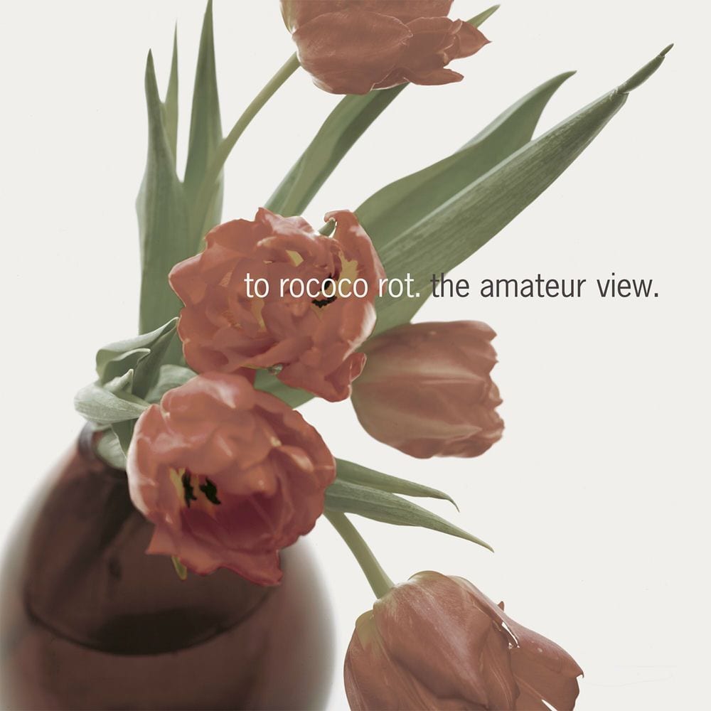 The Amateur View cover