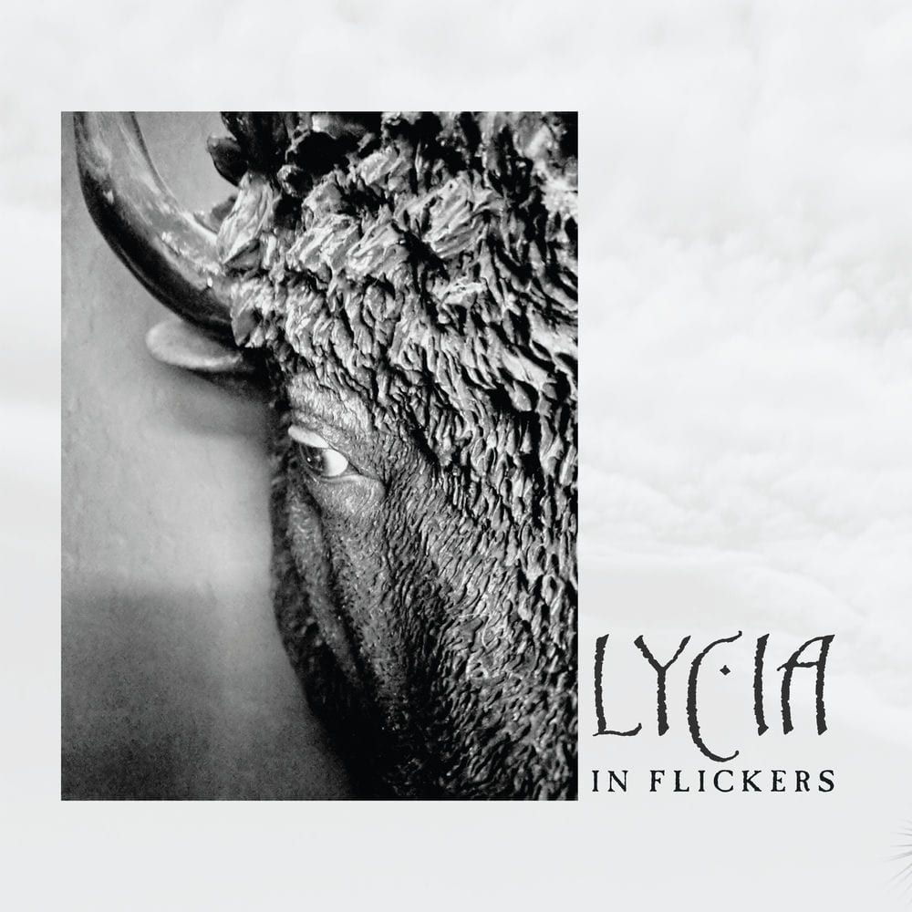 In Flickers cover